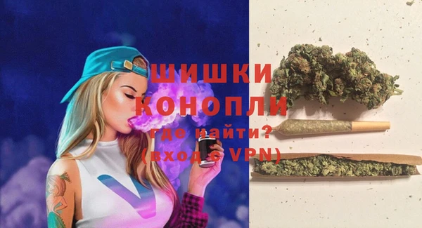 гашик Белокуриха